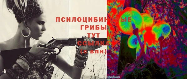 mix Абаза