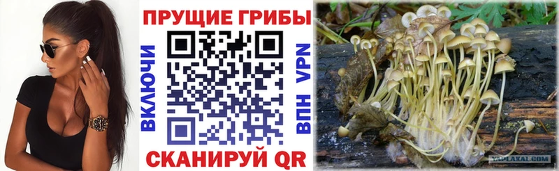 Галлюциногенные грибы мицелий купить наркоту Смоленск