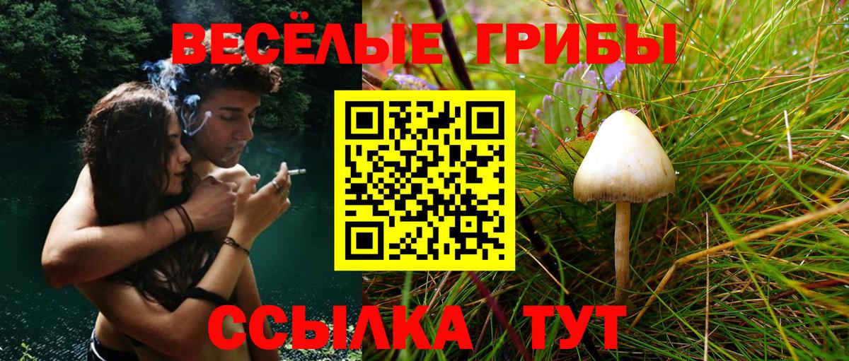 Галлюциногенные грибы прущие грибы Смоленск