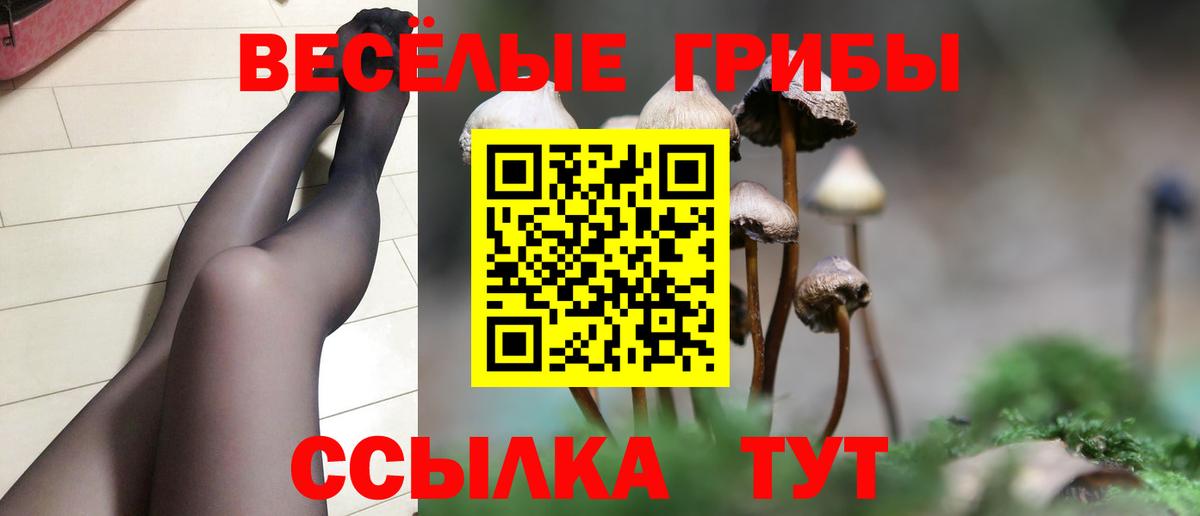 Смоленск  Псилоцибиновые грибы Psilocybine cubensis  Вход с VPN  Псилоцибиновые грибы мицелий 
